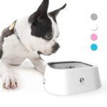 floating frenchie water bowl