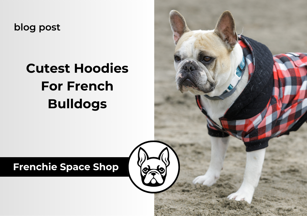 hoodies for frenchies