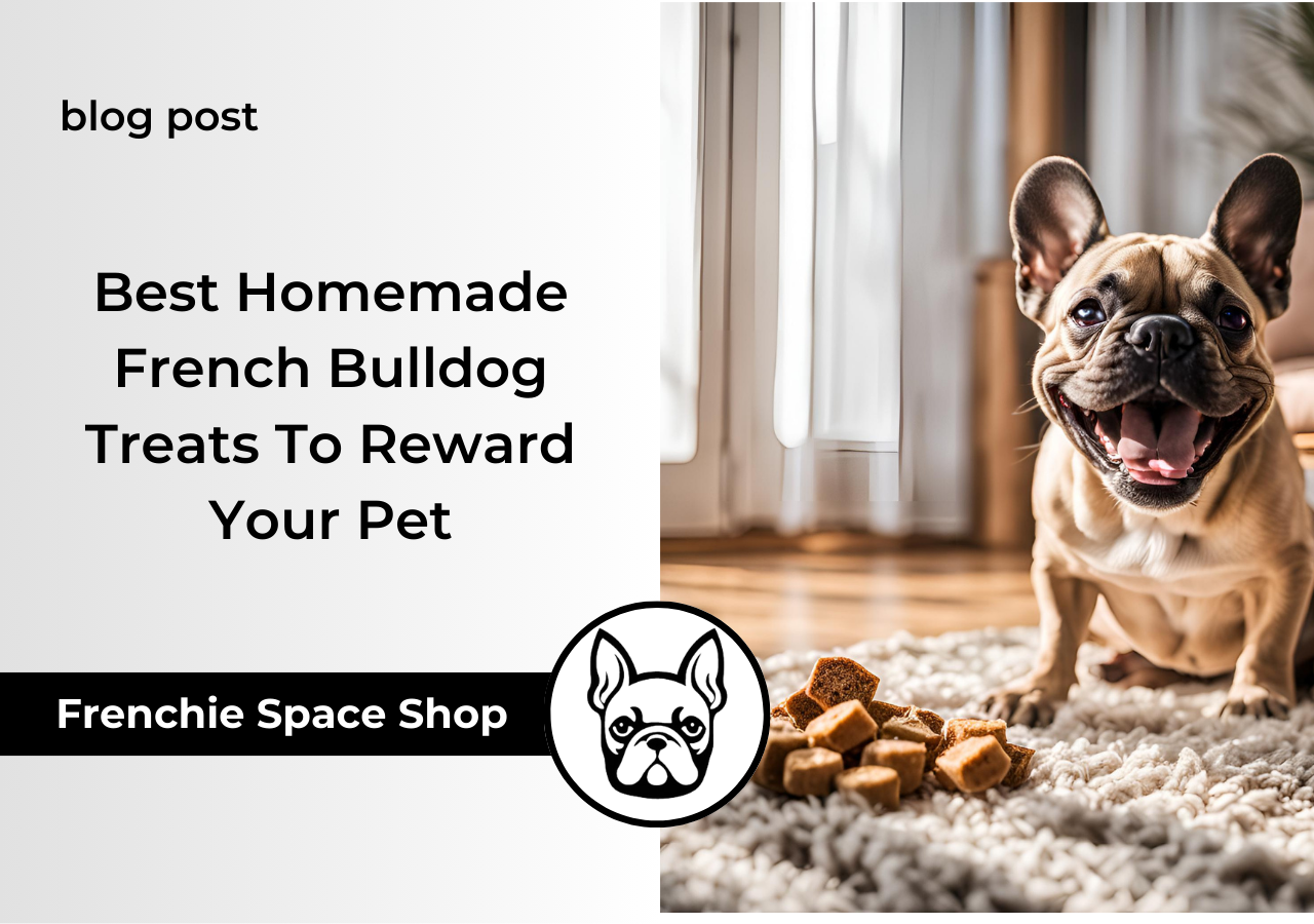frenchie space homemade frenchie treats