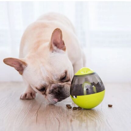 interactive french bulldog egg