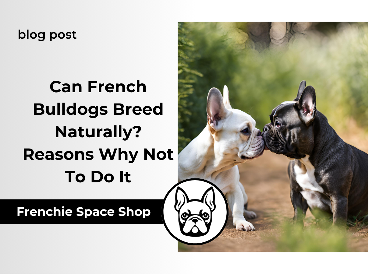Can French Bulldogs Breed Naturally Reasons Why Not To Do It