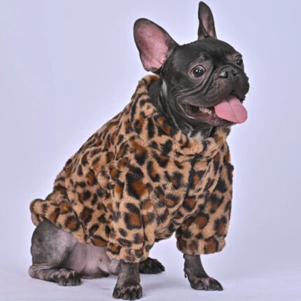 leopard french bulldog jacket