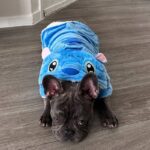 stitch french bulldog costume