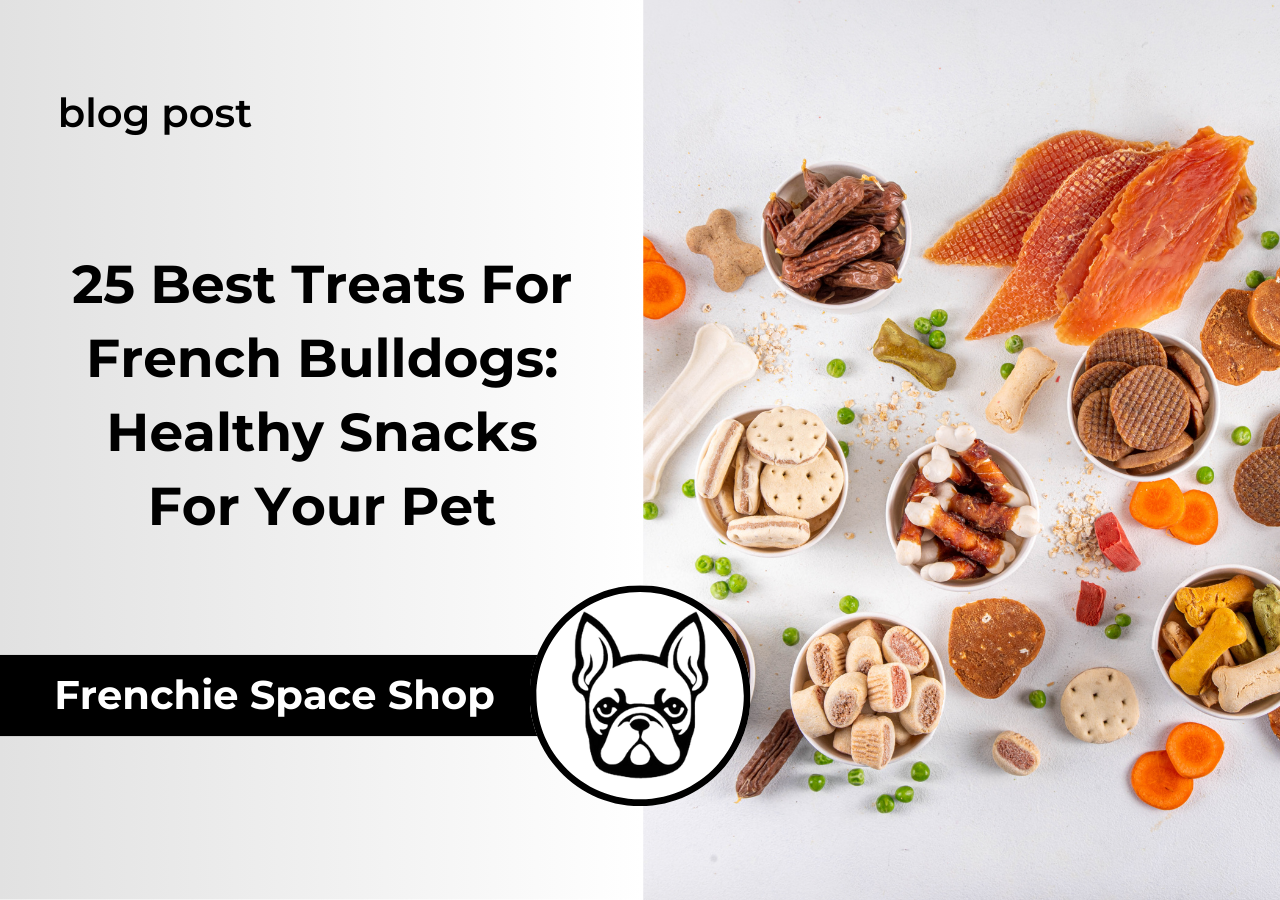 frenchie space treats for french bulldogs