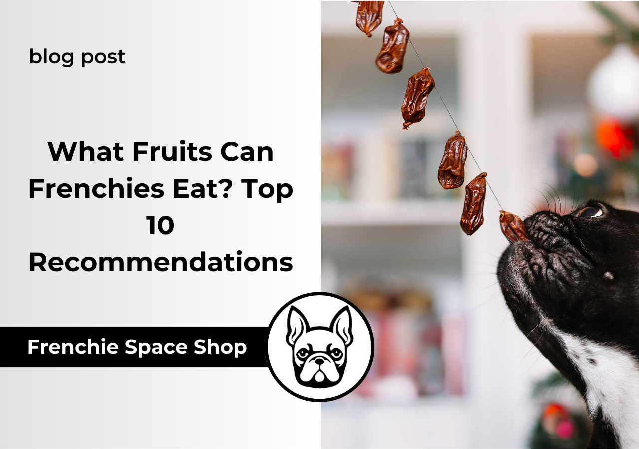 what fruits can frenchies eat frenchie space