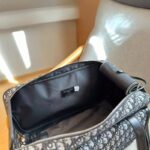 frenchie space shop dogior french bulldog carrier