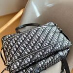 frenchie space shop dogior french bulldog carrier