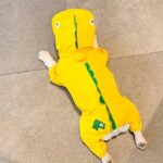 french bulldog rain jumpsuit