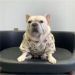 frenchie space shop luxury french bulldog sweatshirt