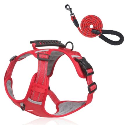 mesh reflective french bulldog harness