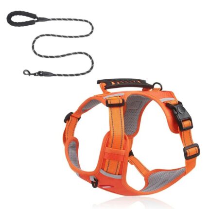 mesh reflective french bulldog harness