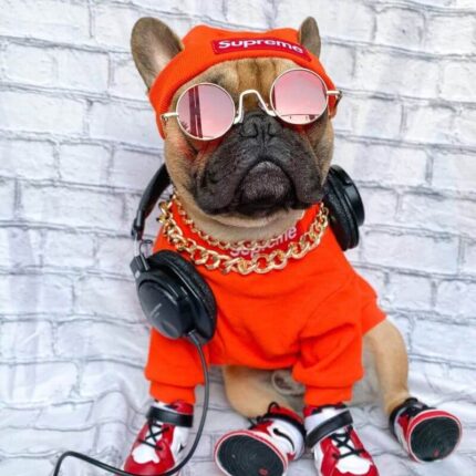 pupreme french bulldog hoodie hat