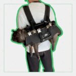 shoulder french bulldog carrier