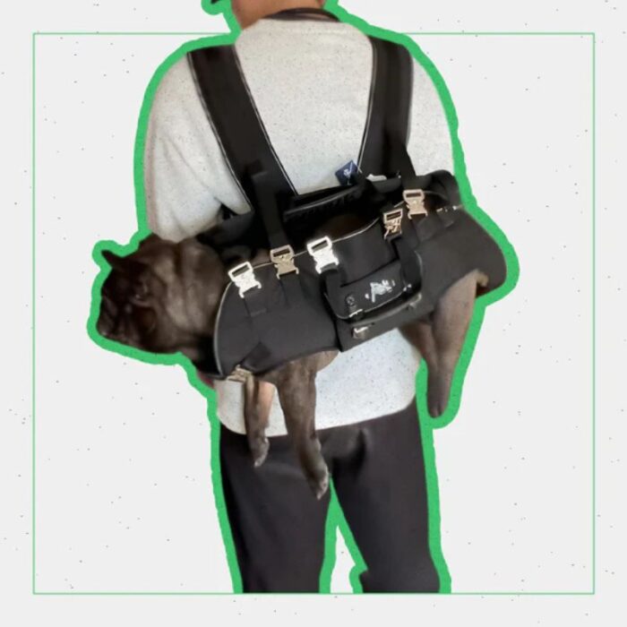 shoulder french bulldog carrier