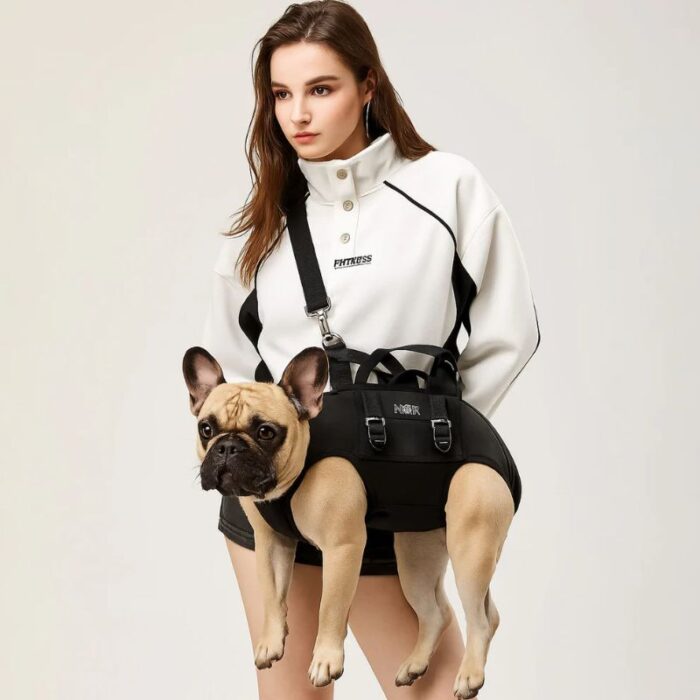 shoulder french bulldog carrier