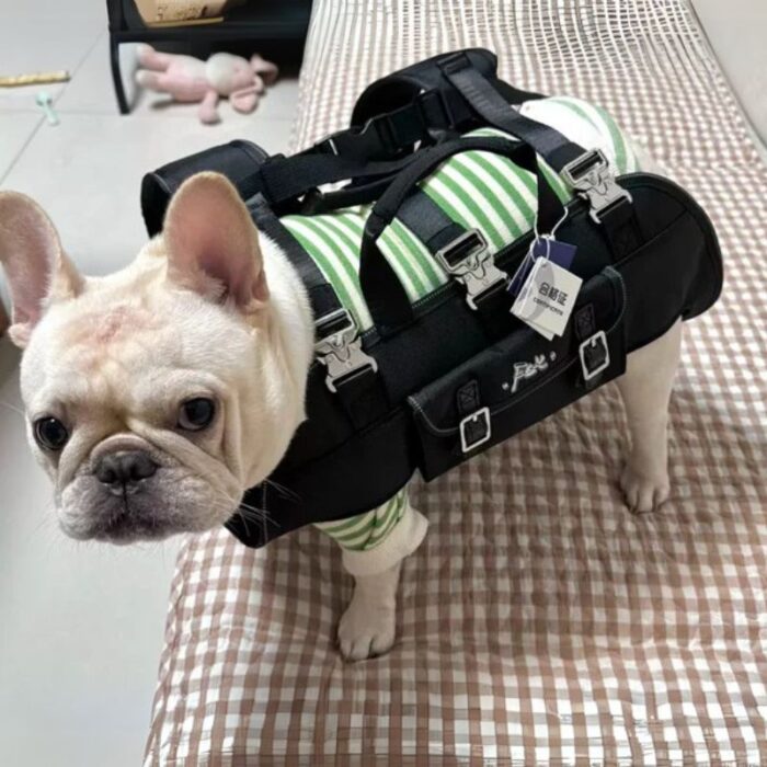 shoulder french bulldog carrier