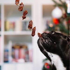 what fruits can frenchies eat frenchie space