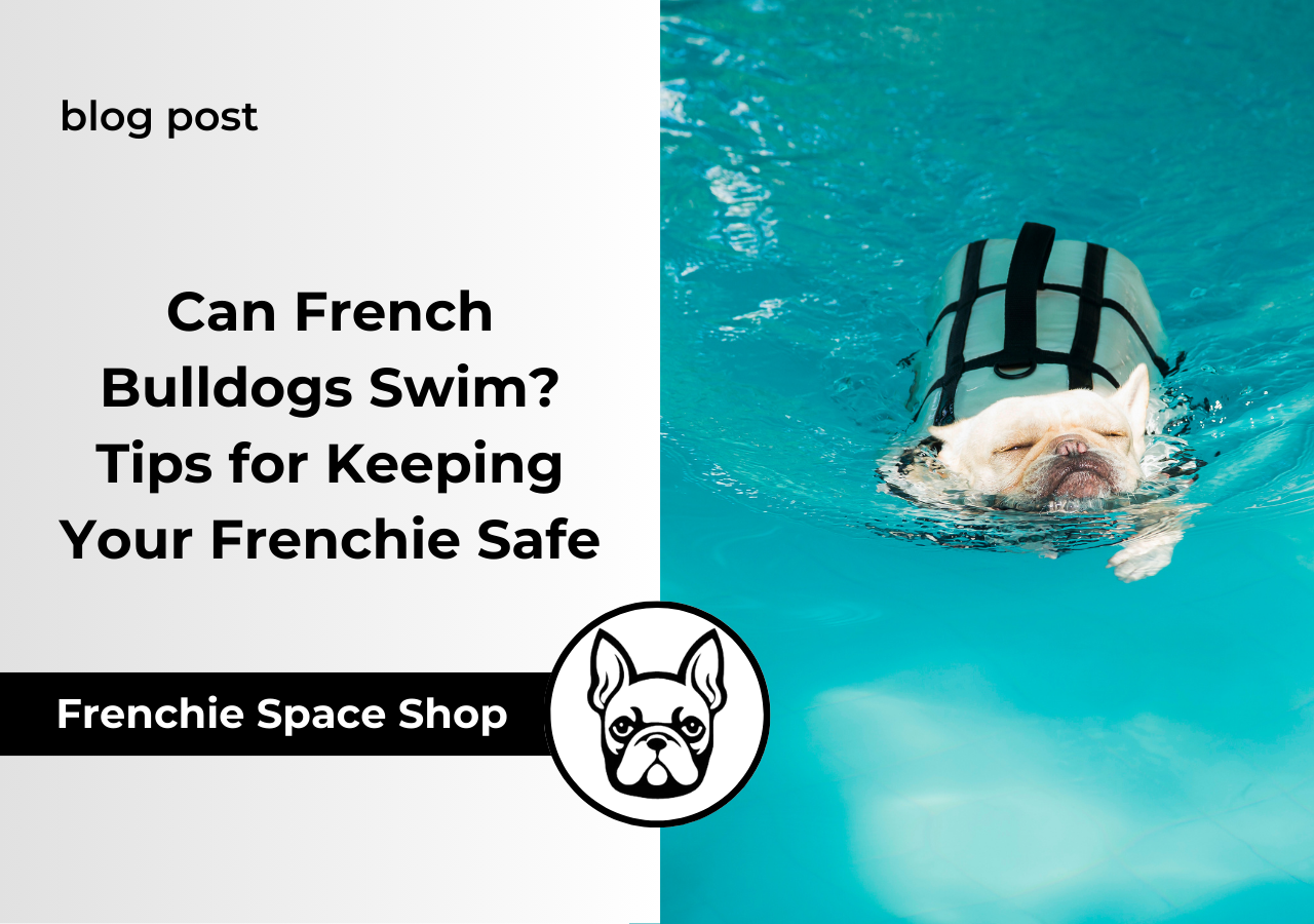 Can French Bulldogs Swim Tips for Keeping Your Frenchie Safe