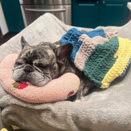 crescent frenchie neck bed