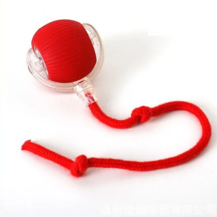 zoomie french bulldog ball