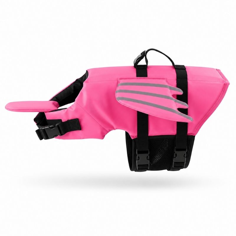 dragon french bulldog life jacket