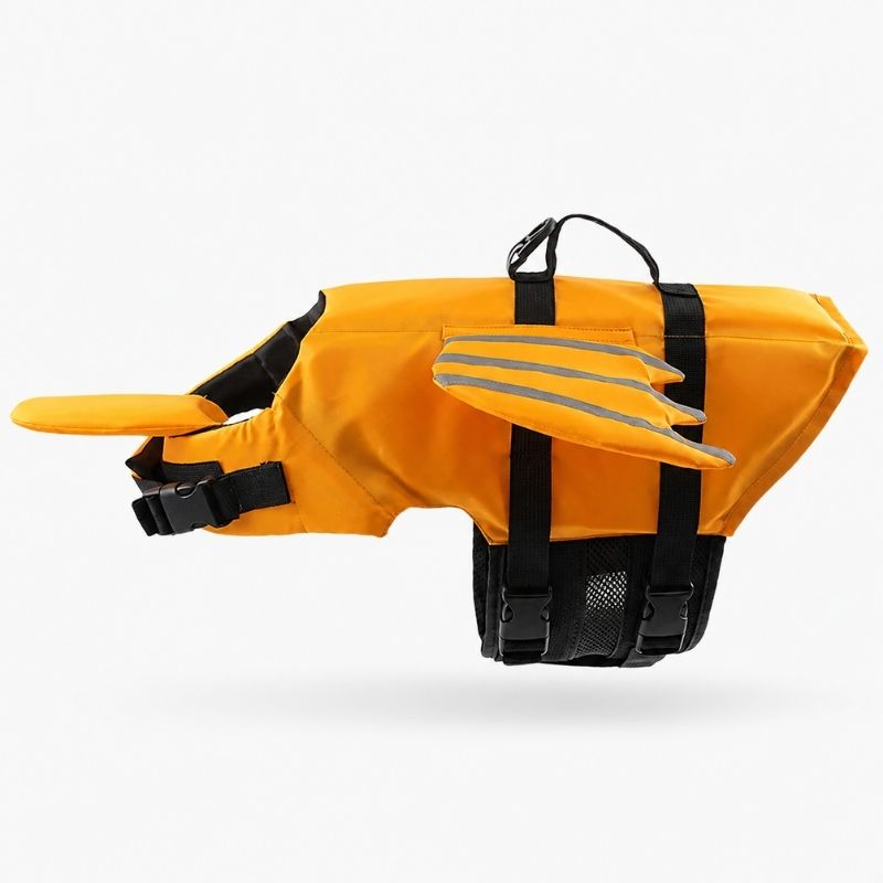 dragon french bulldog life jacket