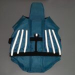 dragon french bulldog life jacket