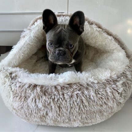 french bulldog cave bed