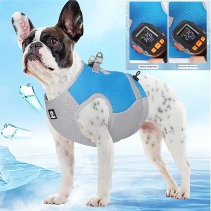 french bulldog cold vest