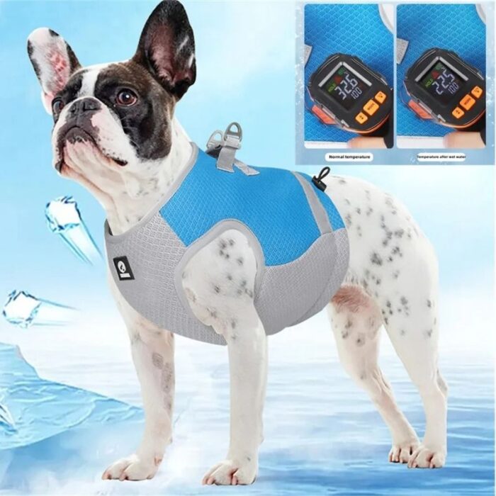 french bulldog cold vest