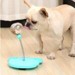 french bulldog feeding stick