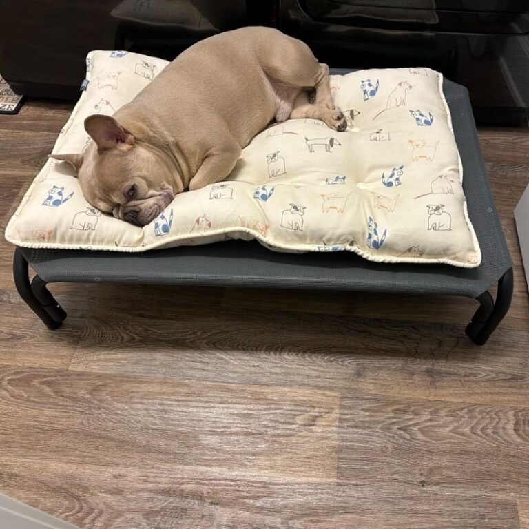 French Bulldog Slipper Bed – Cozy Anti-Anxiety Bed for Frenchies