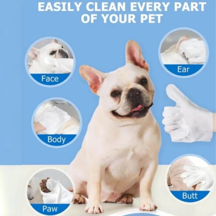 french bulldog wipe gloves