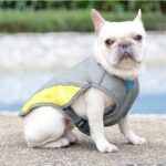 heat relief french bulldog vest