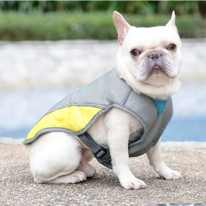 heat relief french bulldog vest