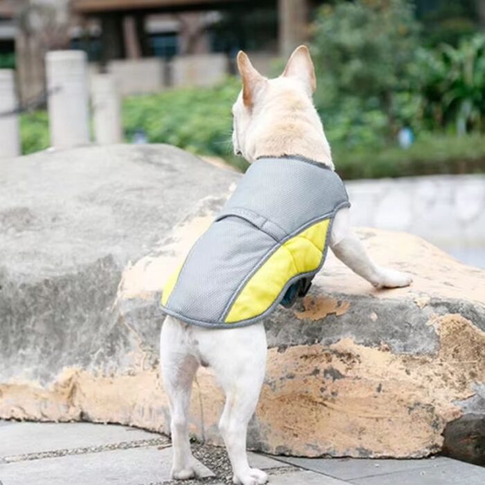 heat relief french bulldog vest