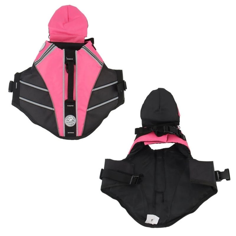 chinfloat frenchie life vest