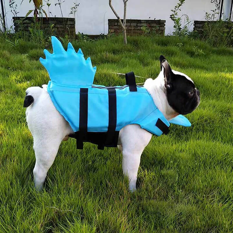 aquaarmor french bulldog life jacket
