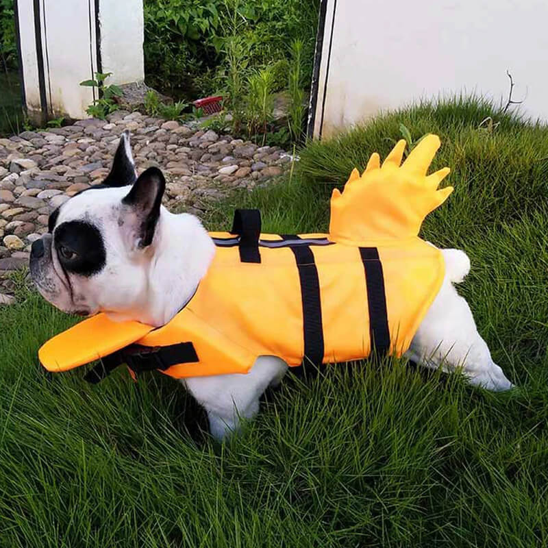 aquaarmor french bulldog life jacket