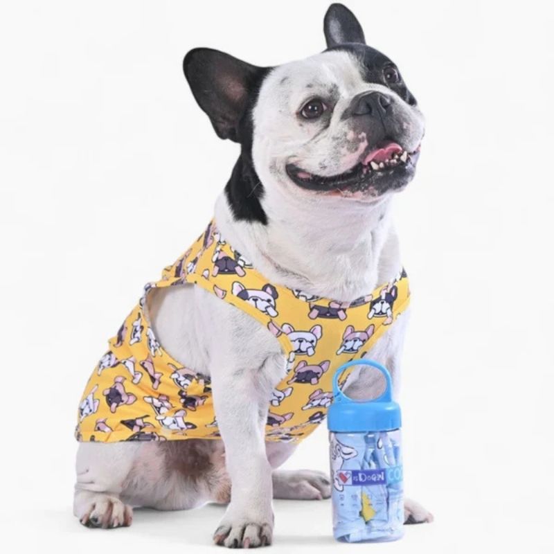 french bulldog cool vest