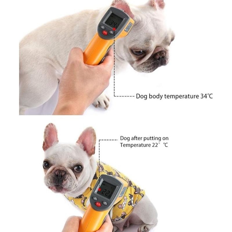 french bulldog cool vest