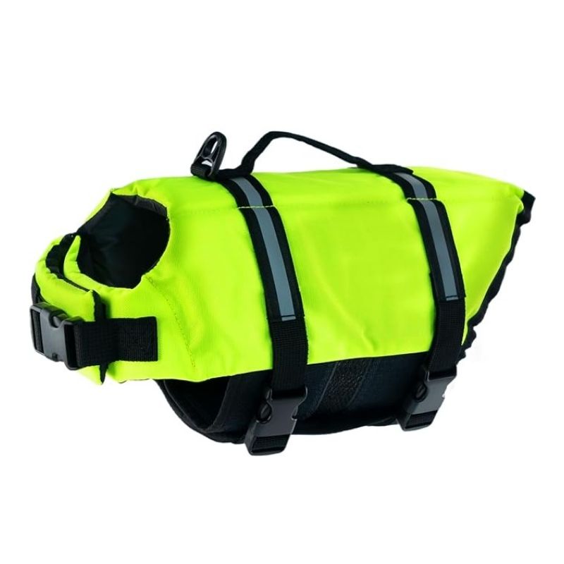 french bulldog life jacket