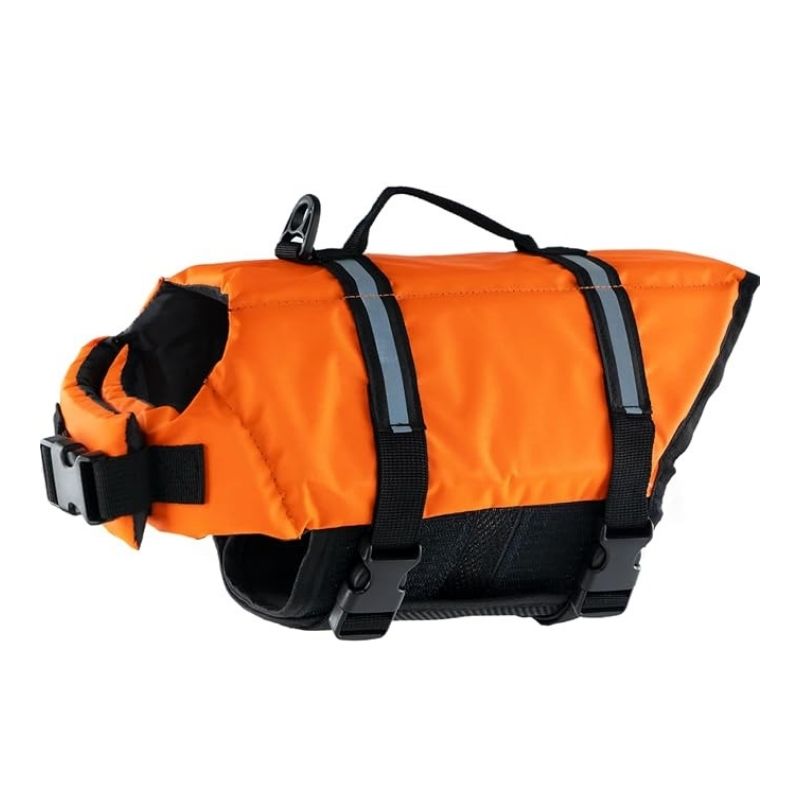 french bulldog life jacket