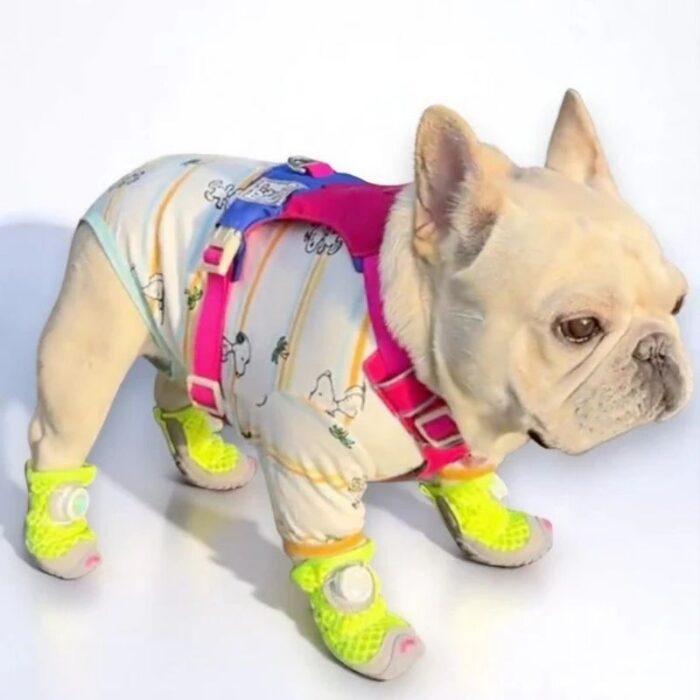 french bulldog mesh sneakers
