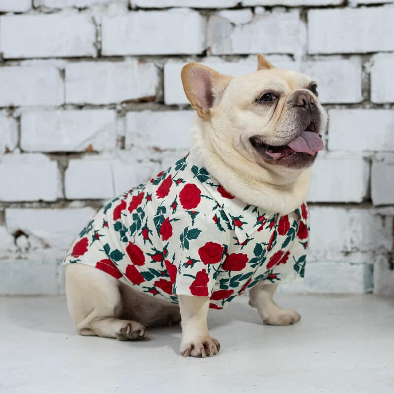 frenchie flower garden shirt