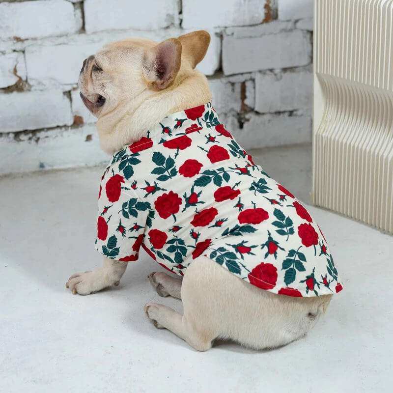 frenchie flower garden shirt