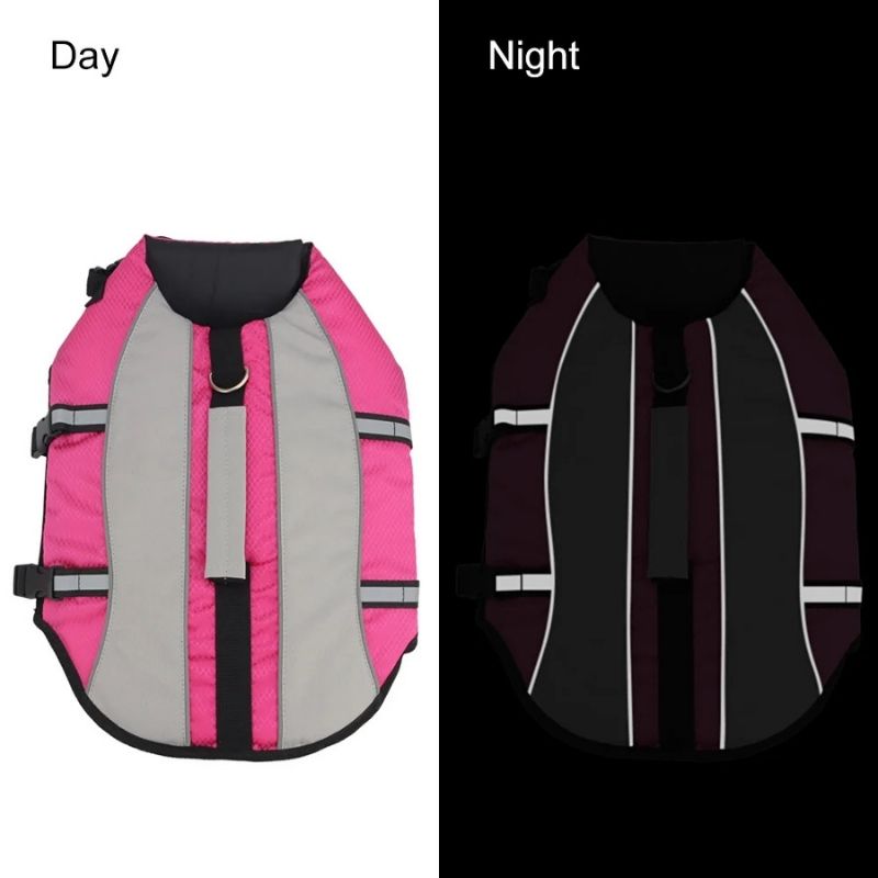 reflective frenchie life jacket