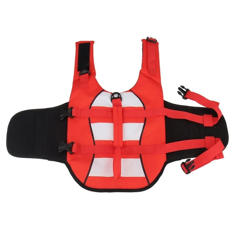 shark frenchie life jacket