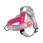 summer french bulldog harness
