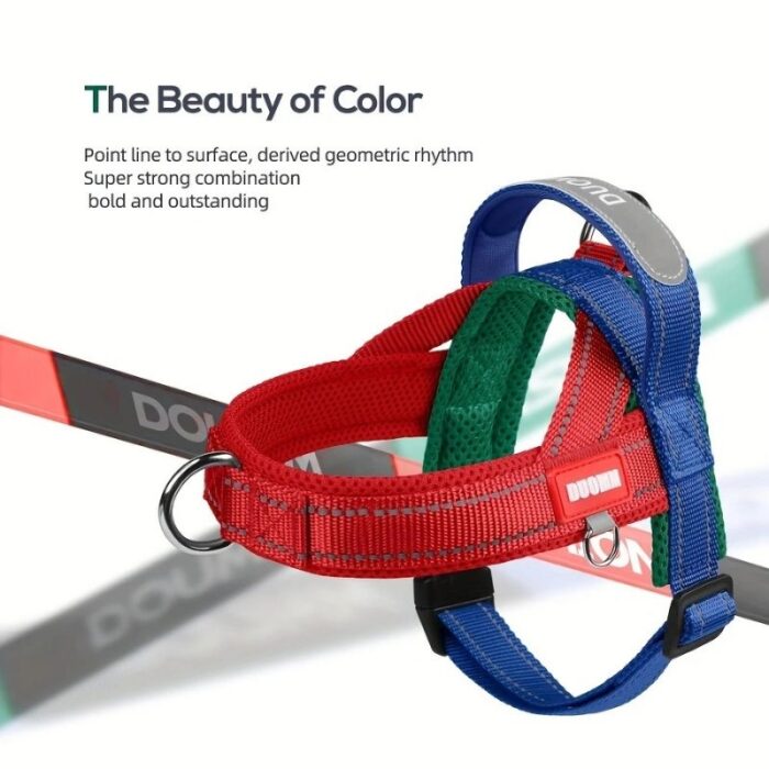 summer french bulldog harness